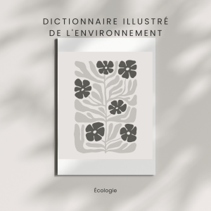 Dictionnaire Illustré de l'Environnement